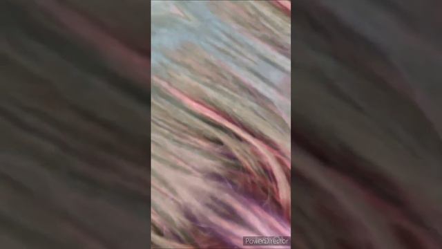 4 Trending Hair colour Highlights || Rishu Makeup Beauty Mantra || смотреть онлайн