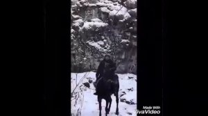 Карачаевская порода лошадей. Карачаевцы.