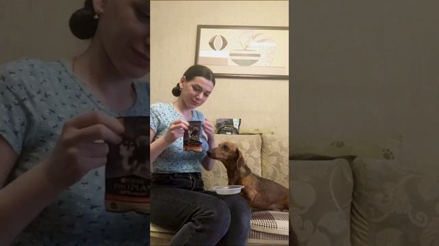 Друг Джус и корм Purina Pro plan смотреть онлайн