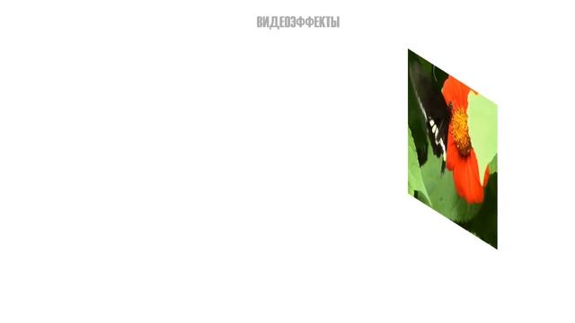 Что может PowerPoint? смотреть онлайн
