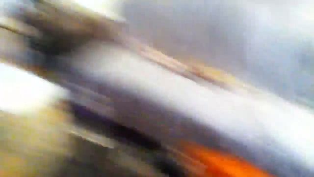 Petz Catz 2 Walkthrough Part 1 смотреть онлайн