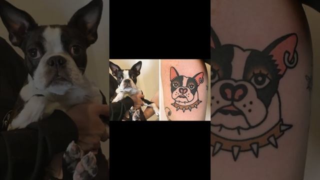 People have Tattooed Their Animals on Their Bodies смотреть онлайн