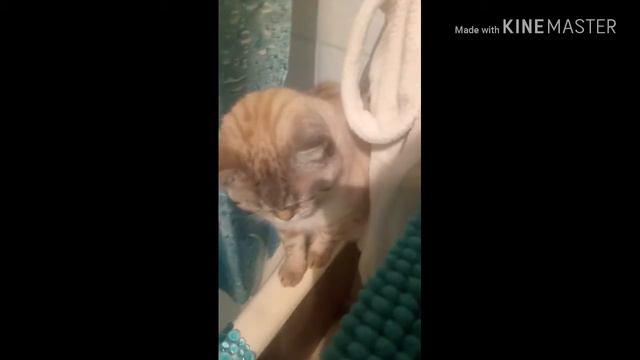 СТРАШИЛКИ часть 2. Странный человек смотреть онлайн