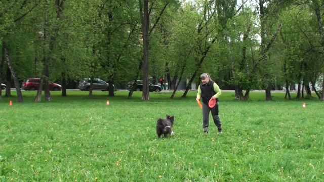 "Турнир Победы" Елена и Мышь смотреть онлайн