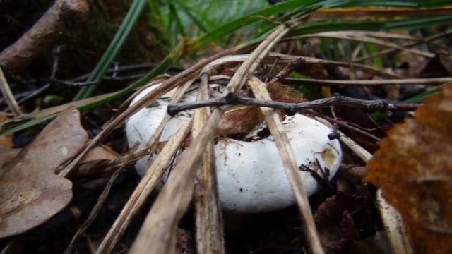 Секреты Рукоделия