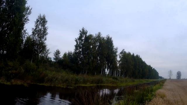 ХОДОВАЯ ОХОТА НА УТОК 2021. С собакой по канавам смотреть онлайн