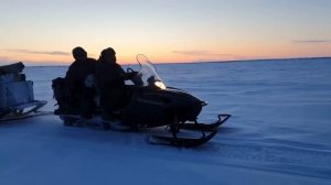 СЛОЖНОСТИ ЖИЗНИ В ТУНДРЕ!!!