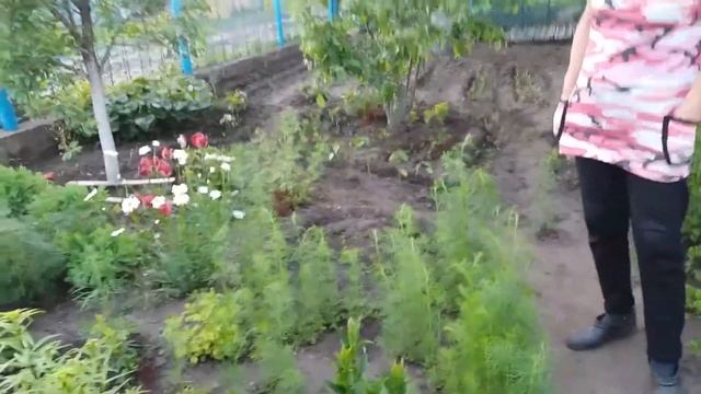 Сад моей матушки смотреть онлайн