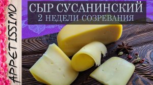 СЫР БЫСТРОГО СОЗРЕВАНИЯ (2 недели) СУСАНИНСКИЙ сыр: технология + секреты ☆ Сыр в домашних условиях