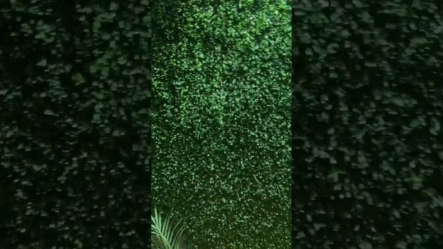 Искусственный газон в ванной #ремонт #стройка #интерьер #ванная #ваннаякомнатадизайн смотреть онлайн