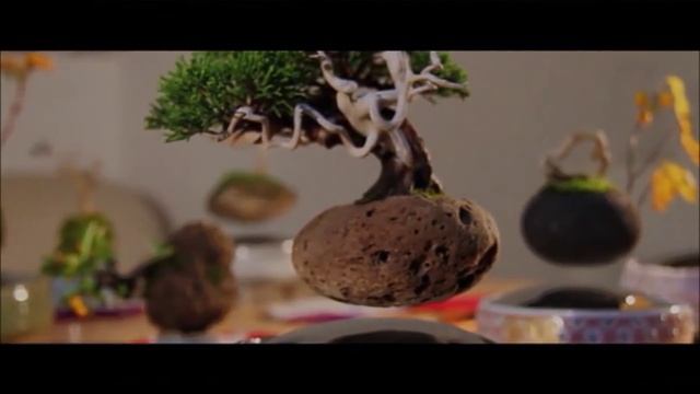 Air Bonsai – парящие деревья, использующие принцип магнитной левитации смотреть онлайн