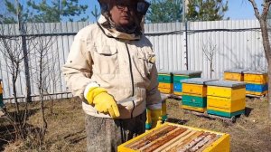 КАК ЛЕГКО СПАСТИ СЛАБЫЕ СЕМЬИ , ДИАФРАГМА ДЮКАРЕВЫХ.