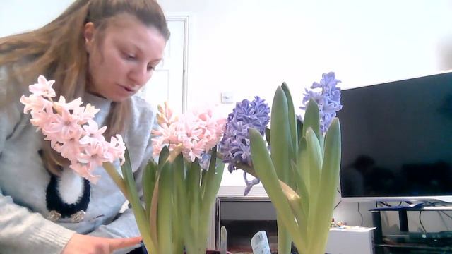 Бяло злато едноатомно дълголетие смотреть онлайн