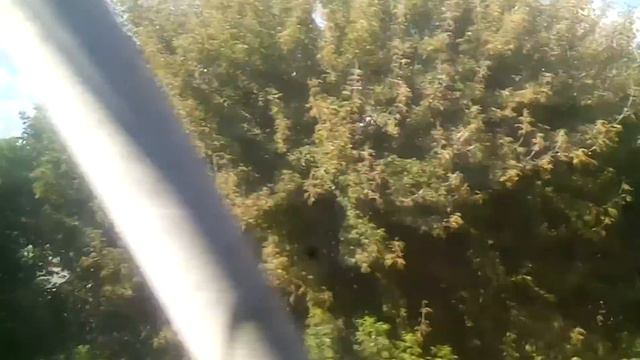 Поезд едет а мы смотрим из окна 1 смотреть онлайн