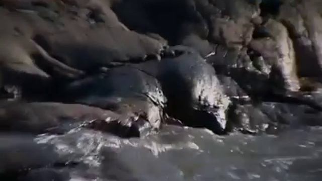 Первая мировая. Фильм 14-й. Похабный мир. Кто мы с Феликсом Разумовским