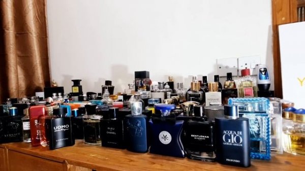 Top 15 Winter Compliment Beasts (2020)