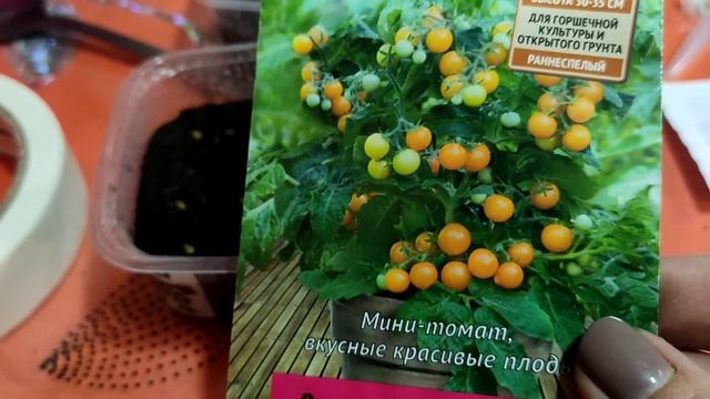 Статификация семян, эксперимент#заброшеннаядача#дача#огород#сибирь#садыроссии смотреть онлайн