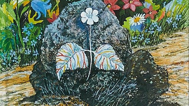 Неизвестный цветок. Краткое содержание смотреть онлайн