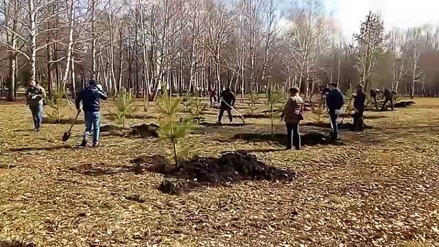 Субботник в Стерлитамаке смотреть онлайн