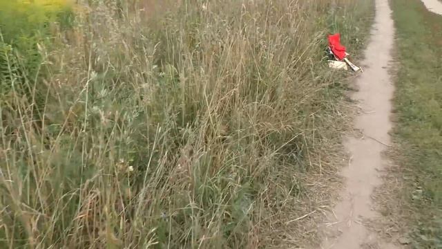 Дорога в ДЕТСТВО. Я на несколько минут отыщу дорогу в детство