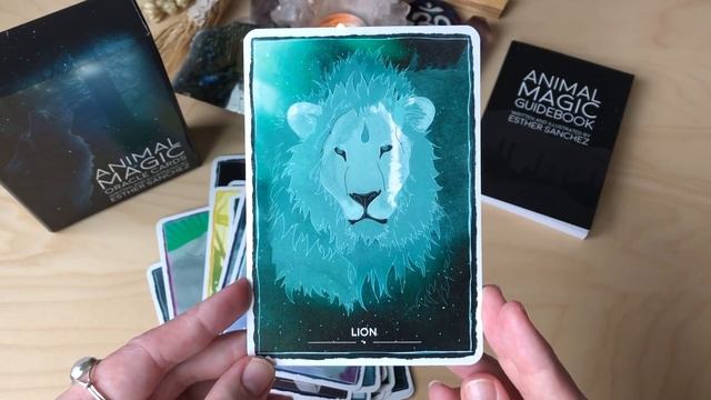 Animal Magic Oracle Cards Unboxing and First Impressions смотреть онлайн