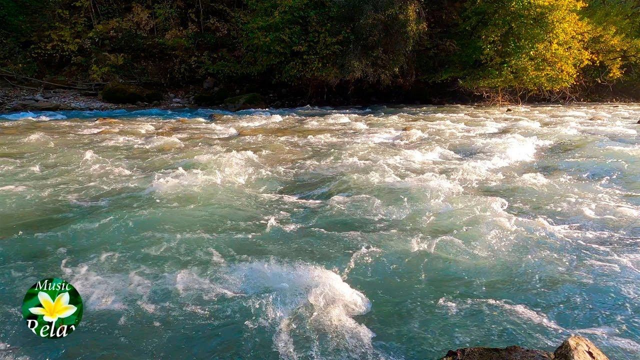 Mountain River - Relaxing Sounds of Water Stream смотреть онлайн