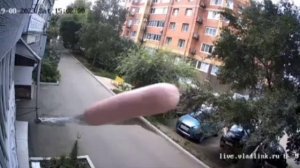 Где моя сосиска?