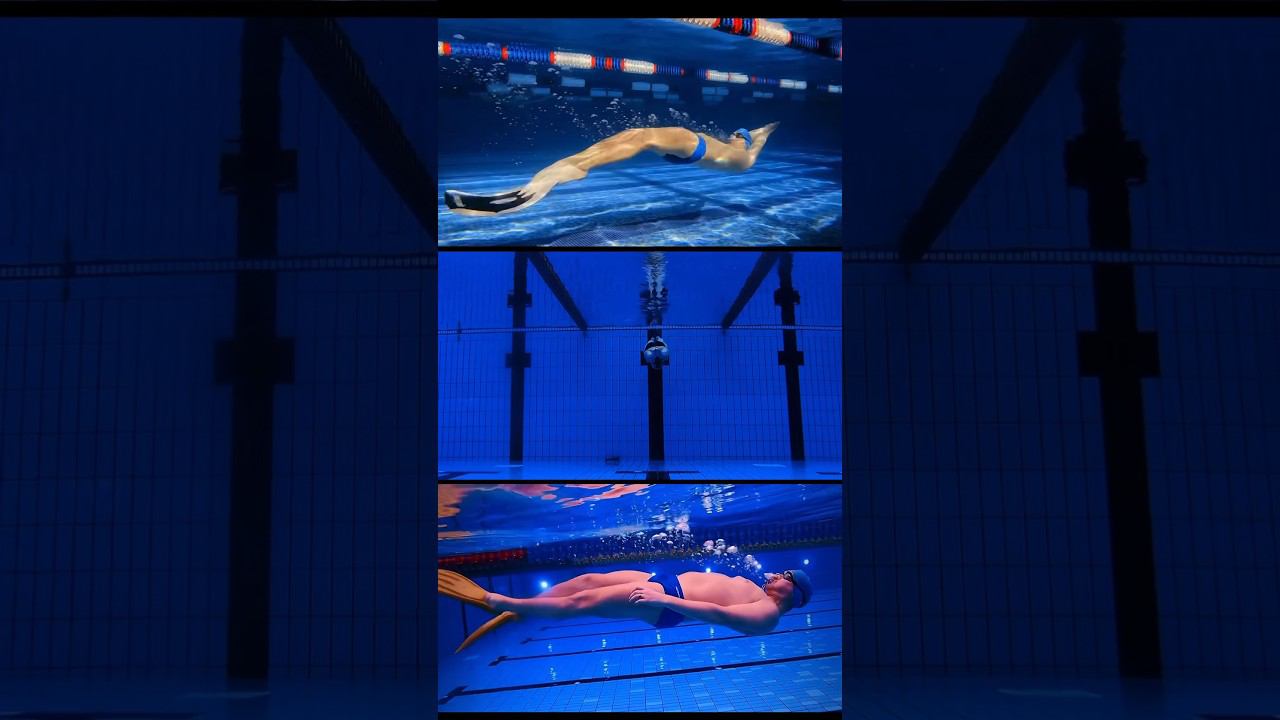 Подводная эстетика #фридайвинг #swimming #underwater #freediving смотреть онлайн