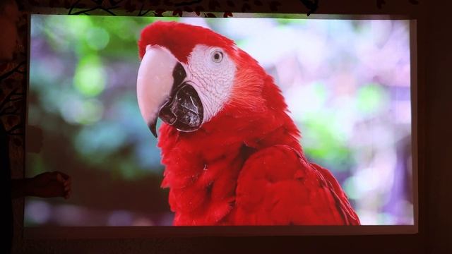 КИНО без СВЕТА с аккумуляторным проектором BYINTEK U80 на Android 11 c автофокусом. Лучший в 2023! смотреть онлайн