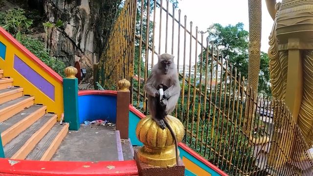 Exploring Batu Caves In Kuala Lumpur Malaysia 2022 смотреть онлайн