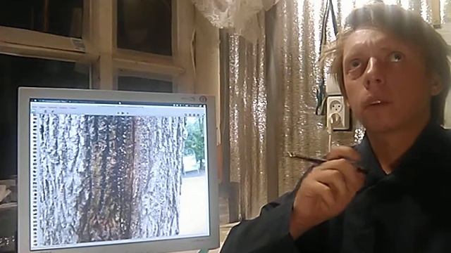 Особенности городских деревьев смотреть онлайн