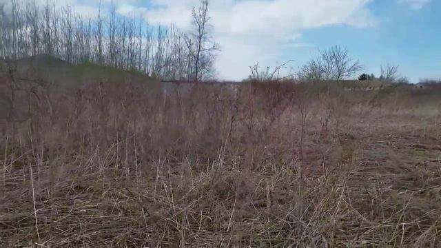 Isolation vlog (rockets, exploring, and zoom) смотреть онлайн