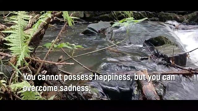 счастье и печаль смотреть онлайн