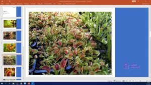 1 Класс. Окружающий мир. Аюбова А.А. Тема: "Почему их так назвали"