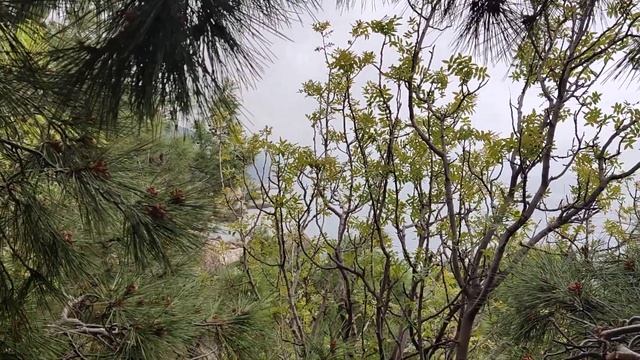 Мыс Айя. Стоянка 