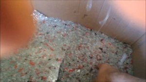 Дробилка для ПЭТ бутылки и пластика