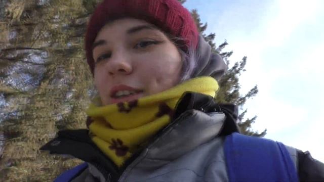 ОДИН ДЕНЬ ИЗ ЖИЗНИ ВЕТЕРИНАРА-КИНОЛОГА смотреть онлайн