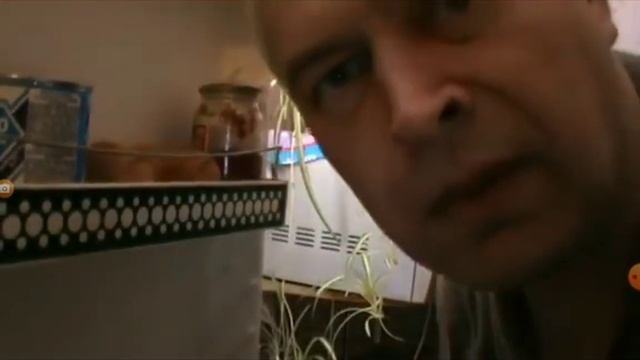 А я не понял что вы делаете в моём холодильнике смотреть онлайн