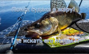 Поиск судака в жару! | Где искать его летом !?