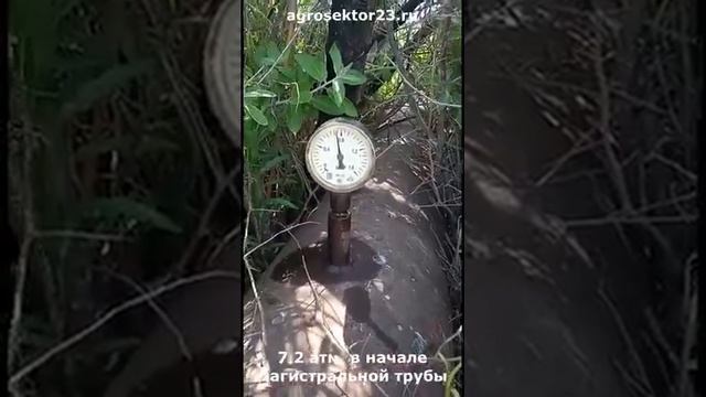 Второй урожай люцерны, поливаю пушкой 