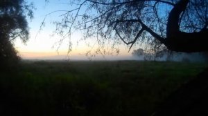 восход исянгулово лапатник