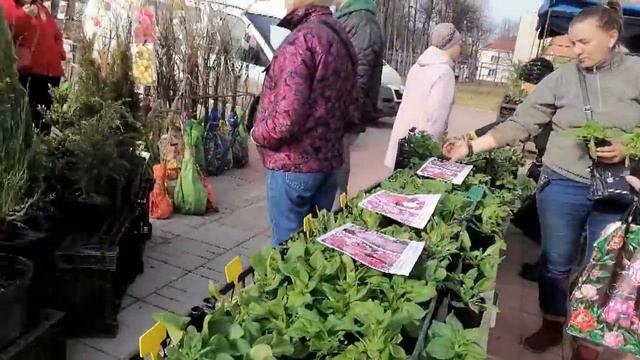 Собирается народ и на ЯРМАРКУ идет)) Я на ЯРМАРКУ сходила кое что себе КУПИЛА)))