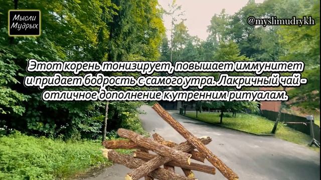 Старый Китаец Рассказал Этот Секрет Просто начинай свой день с... Китайский мастер Му смотреть онлайн