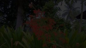 Часть1 ???️ повести "Когда происходят чудеса". Уроки веры.  Христианские рассказы