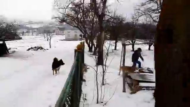 Бой сабак часть 1 смотреть онлайн