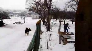 Бой сабак часть 1