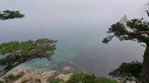 Кекуры штаны, мыс Сосновый в туман, дикие морские котики в заповеднике. #блогВладивосток
