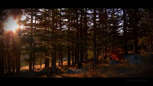 Камертон Гандах намар смотреть онлайн