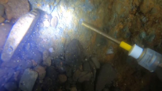 The best GOLD found when misfortune leads to fortune!!! смотреть онлайн