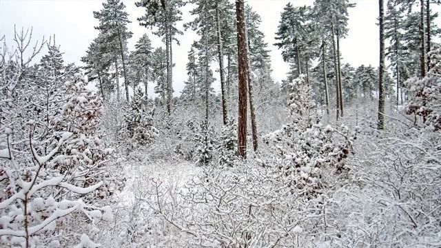 Как завести друзей? смотреть онлайн
